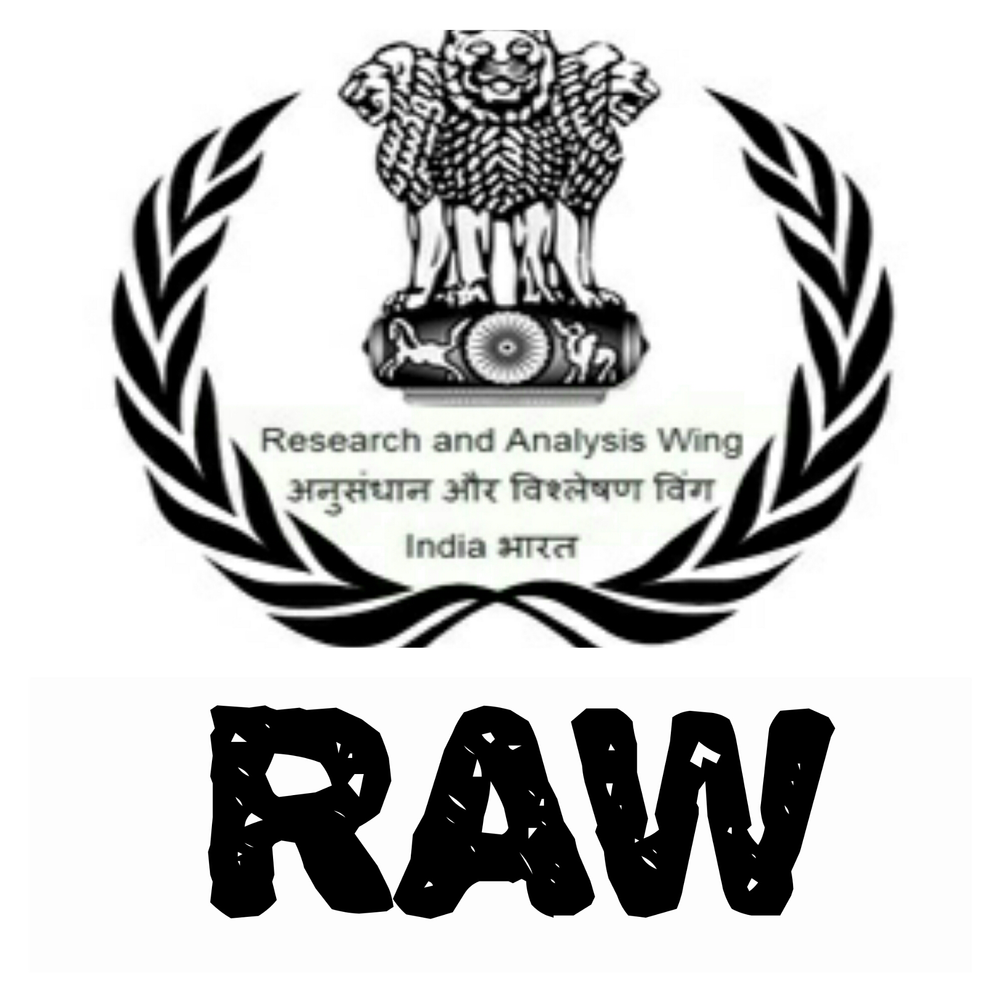 Image result for RAW AGENCY